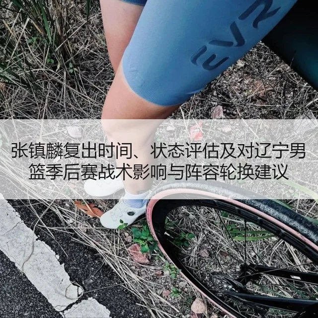 张镇麟复出时间、状态评估及对辽宁男篮季后赛战术影响与阵容轮换建议